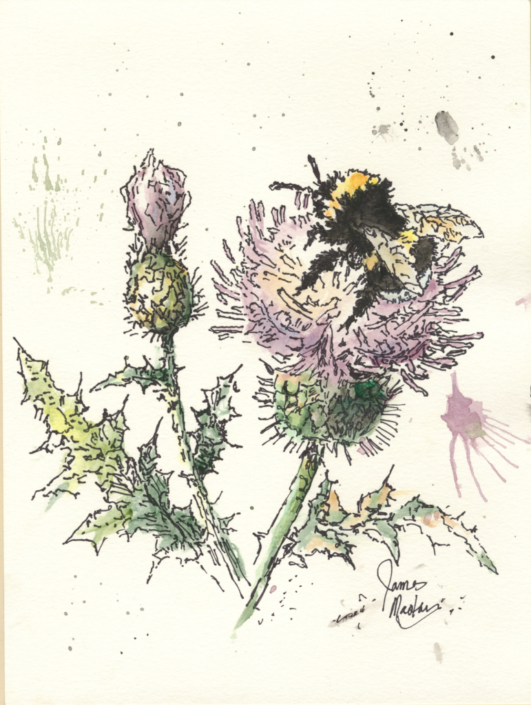 A painting of a bumblebee on a thistle